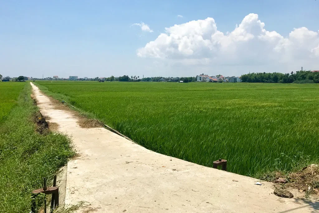 Scenic rice paddies and vegetable gardens surrounding a traditional house for a Hoi An cooking class.