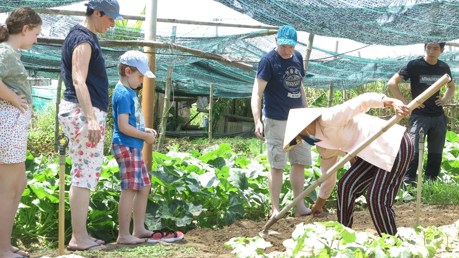 Tourists participate in gardening activities at an organic vegetable farm in the Hoi An countryside during a Hoi An handicraft tour.