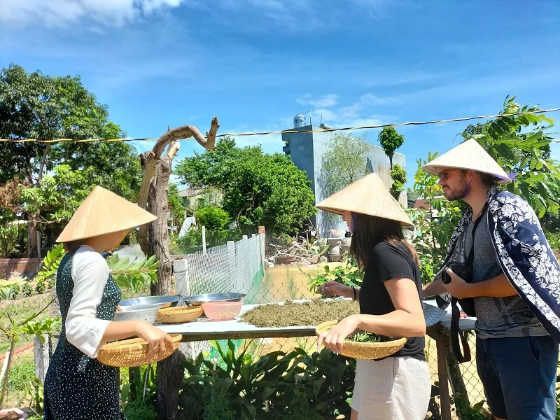 A couple picking fresh medicinal herbs and basil in a lush organic garden during a private tour Hoi An experience.