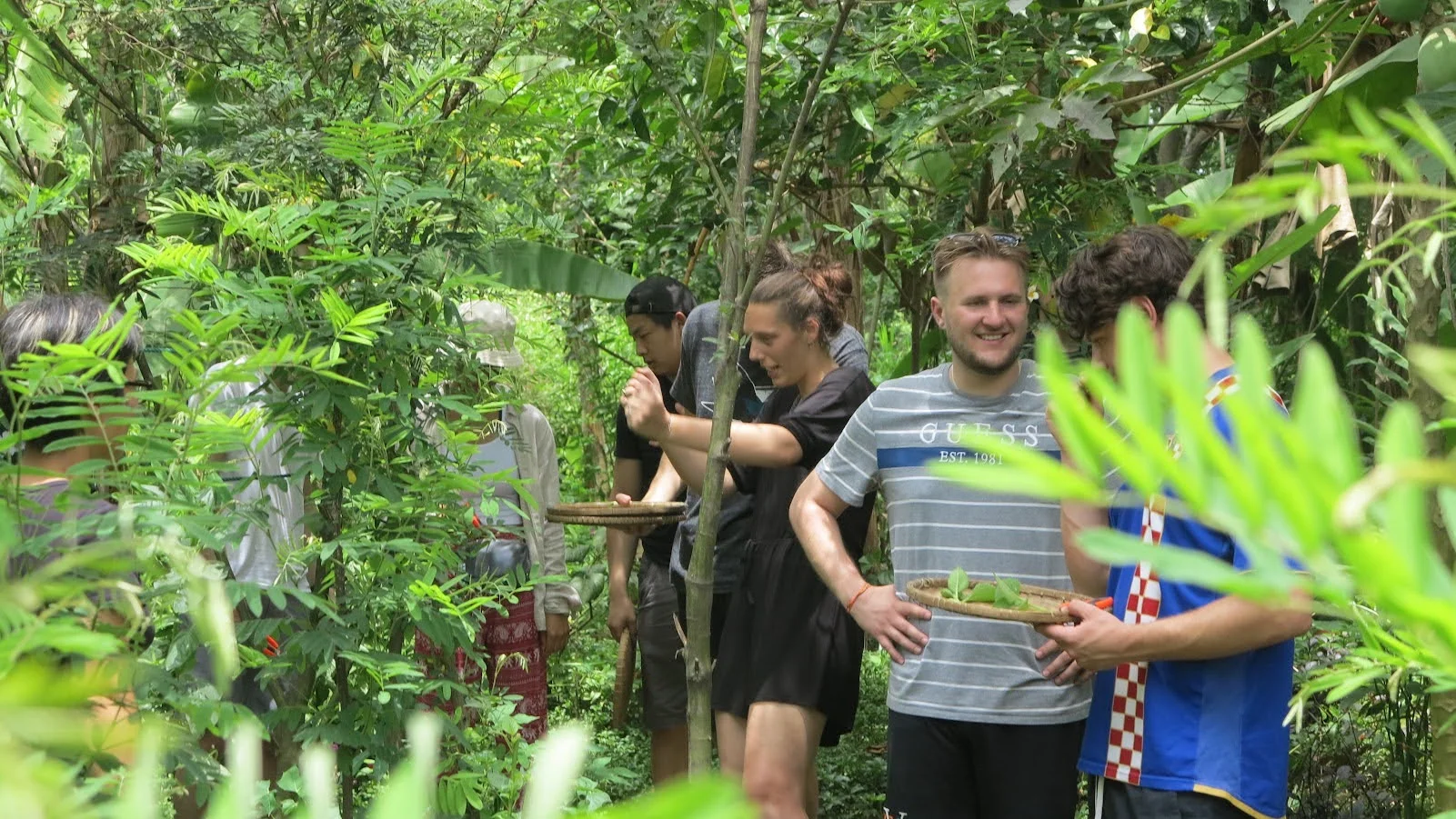 Madame Van showing guests how to pick fresh organic herbs in her garden for a cooking class Hoi An experience.