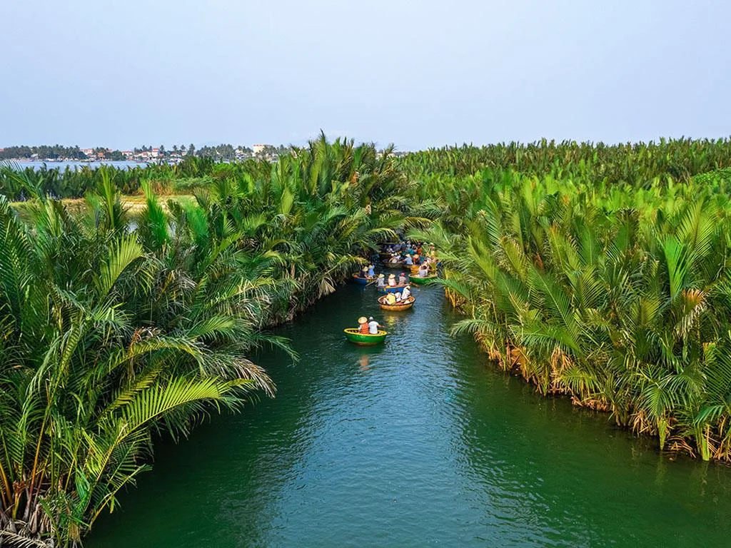 Tourists in basket boats explore the coconut rainforest tour Cam Thanh.