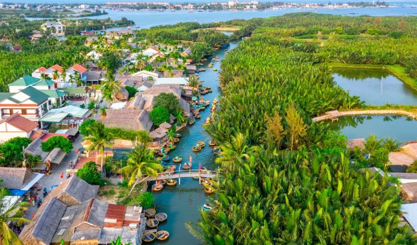 Aerial view of Cam Thanh coconut village and basket boats