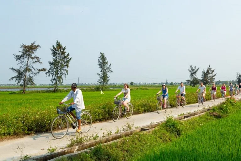 tourists and locals cycling along a path through lush green rice paddies in Kim Bong Carpentry Village Hoi An