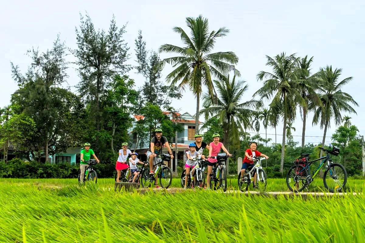 cyclists enjoying a scenic ride through rice paddies, a common route when heading to the Cantonese Assembly Hall Hoi An.
