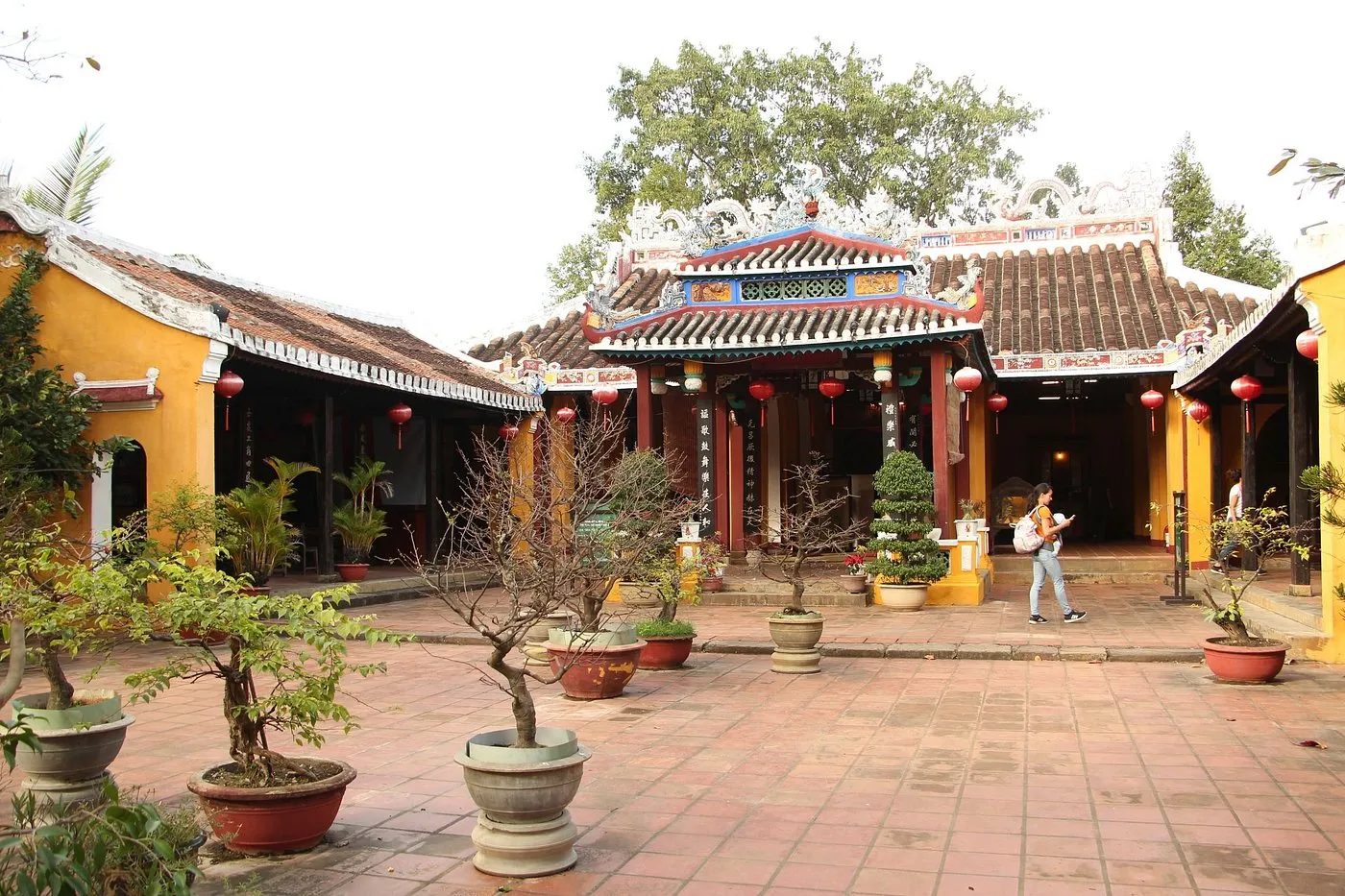 Tourist walking among potted bonsai trees in the courtyard of Cam Pho Communal House.