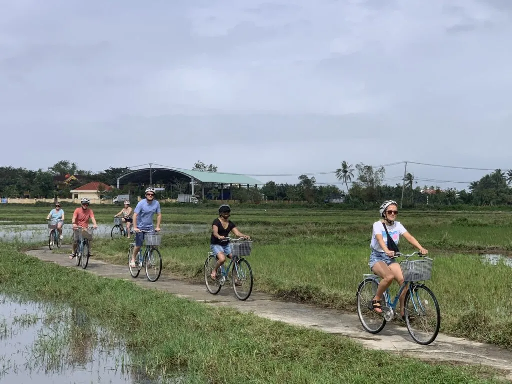 Group of cyclists on a paved Hoi An cycling route through wet green rice paddies.
