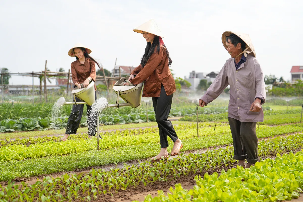 Traditional organic farming at Tra Que Village with the Thu Bon River.